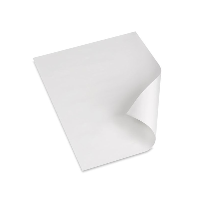 FORMATO DOBLE OFICIO BLANCO