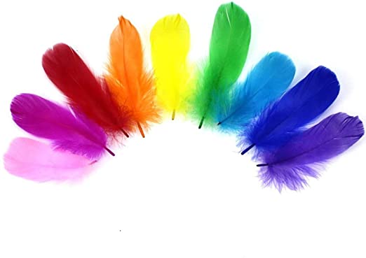 Bolsas Plumas Varios Colores 